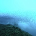 GPTempDownload2 GPTempDownload2