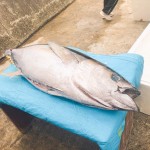 IMG_0980 (1) IMG_0980 (1)