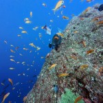 IMG_20181231_104411_242