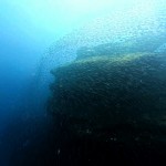 IMG_20181231_122217_267