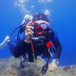 S__465993730 S__465993730